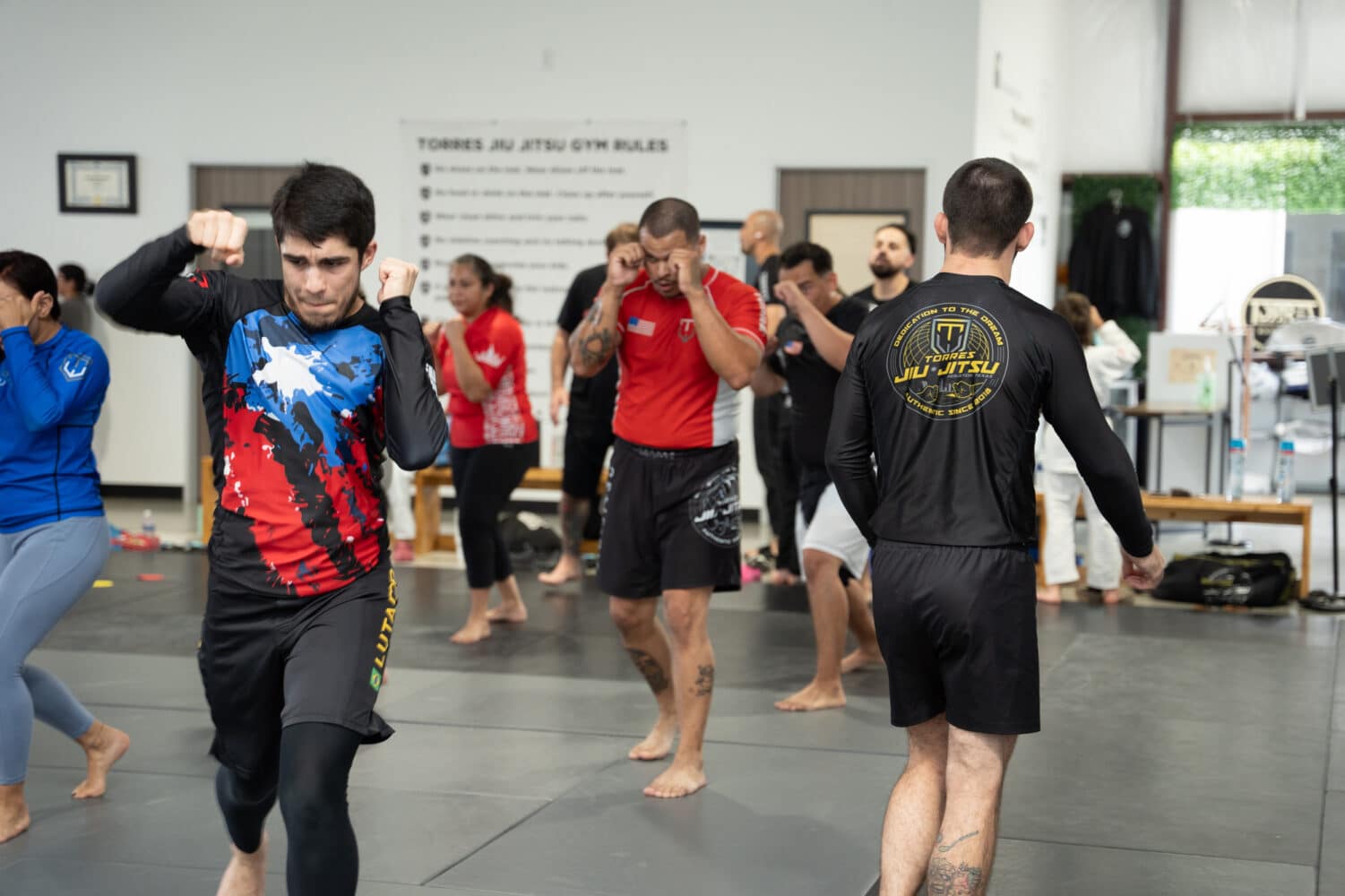 Torres Jiu-Jitsu Kickboxing and MMA Programs