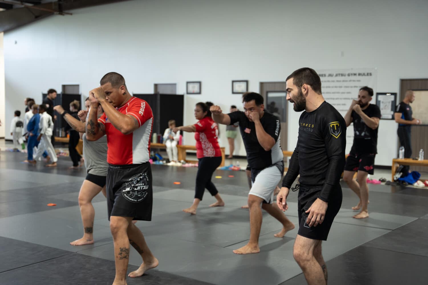 Torres Jiu-Jitsu Kickboxing and MMA Programs